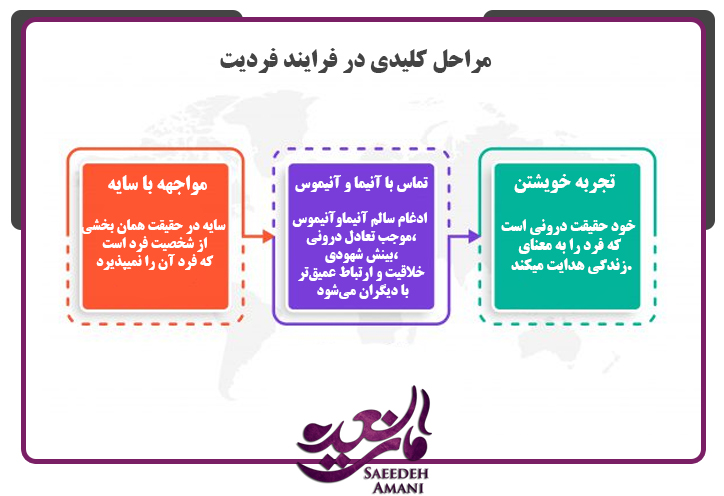 مراحل فرایند فردیت