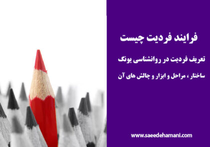 فرایند فردیت چیست